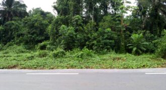 TERRAIN TITRE A VENDRE A KRIBI – EBOUYE