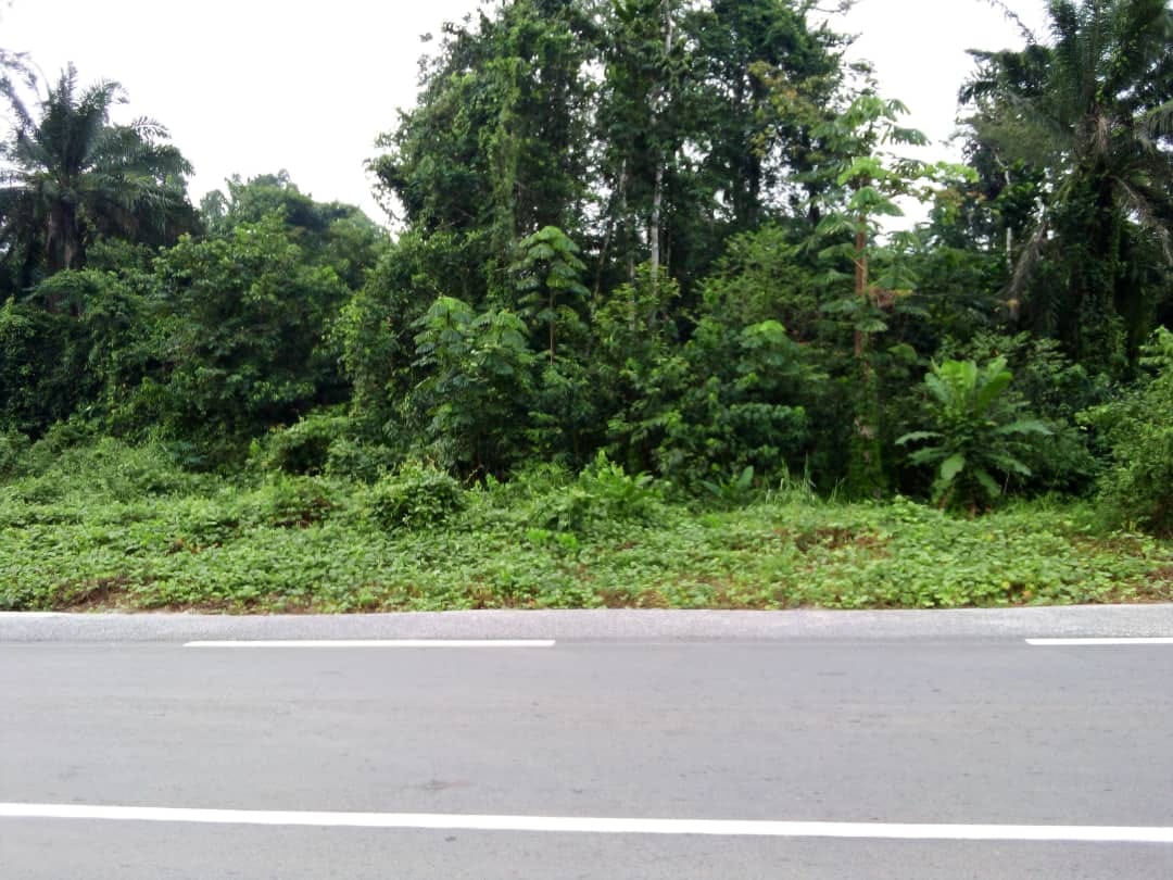 TERRAIN TITRE A VENDRE A KRIBI – EBOUYE