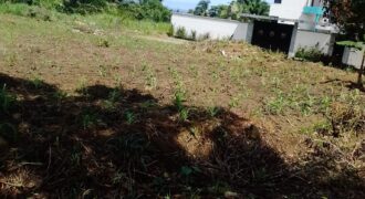 TERRAIN TITRE A VENDRE A KRIBI – ELABE