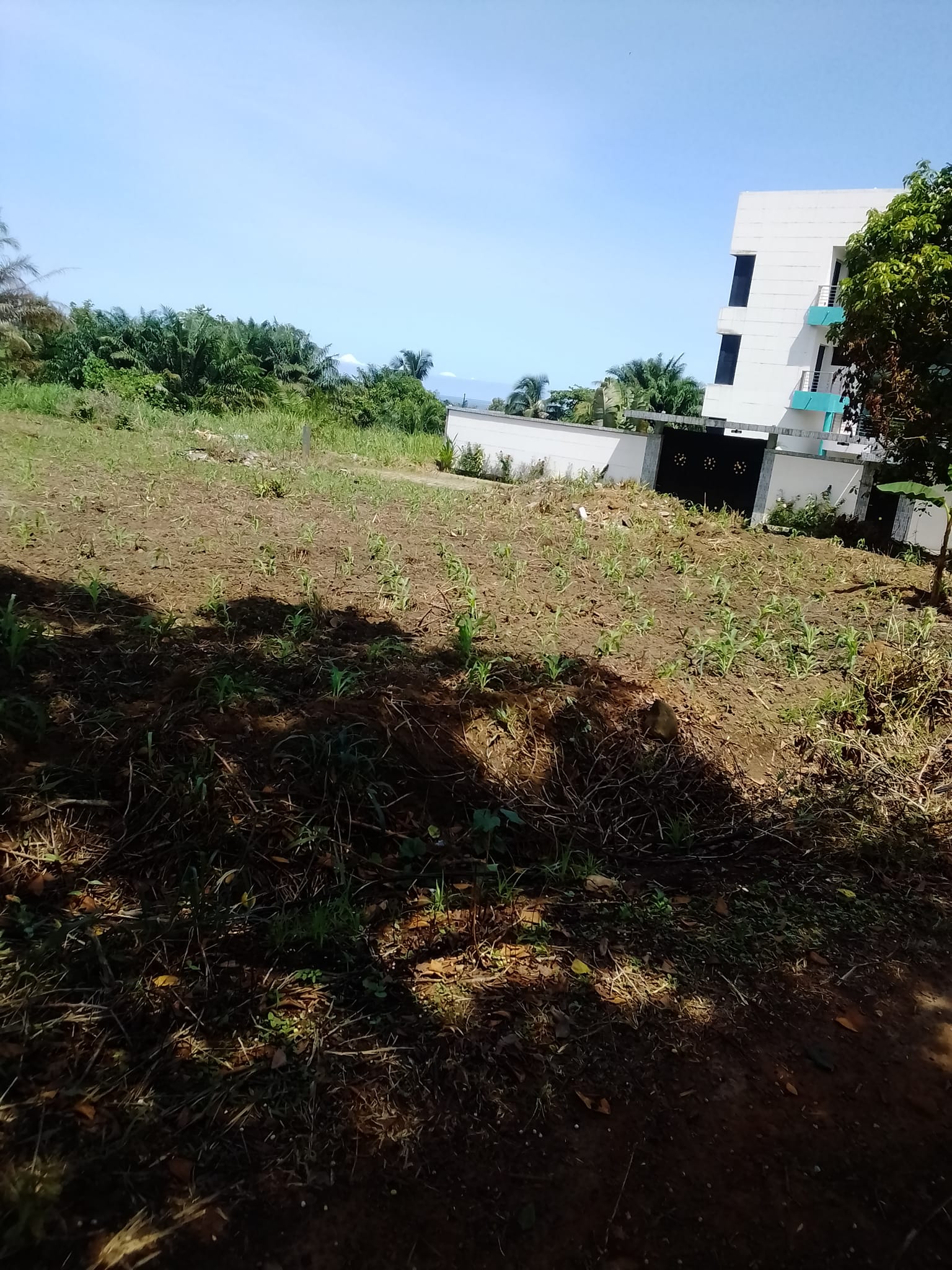 TERRAIN TITRE A VENDRE A KRIBI – ELABE