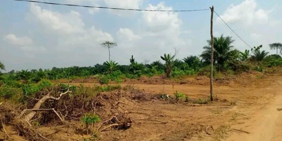 TERRAIN TITRE A VENDRE A KRIBI – BEBAMBWE