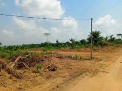 TERRAIN TITRE A VENDRE A KRIBI – BEBAMBWE