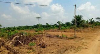 TERRAIN TITRE A VENDRE A KRIBI – BEBAMBWE