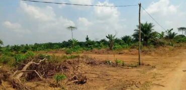 TERRAIN TITRE A VENDRE A KRIBI – BEBAMBWE