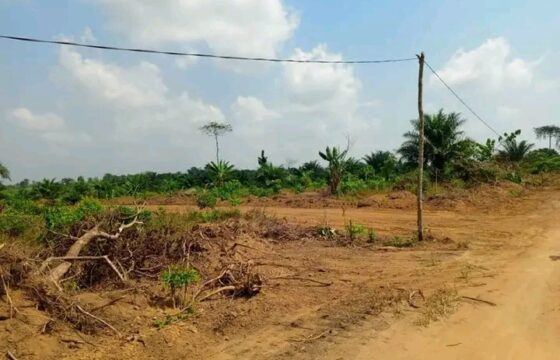 TERRAIN TITRE A VENDRE A KRIBI – BEBAMBWE