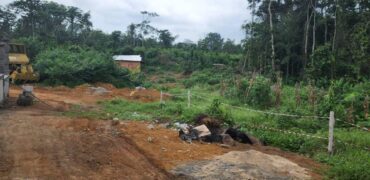 TERRAIN TITRE A VENDRE A KRIBI – BASE RAZEL