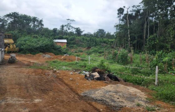 TERRAIN TITRE A VENDRE A KRIBI – BASE RAZEL