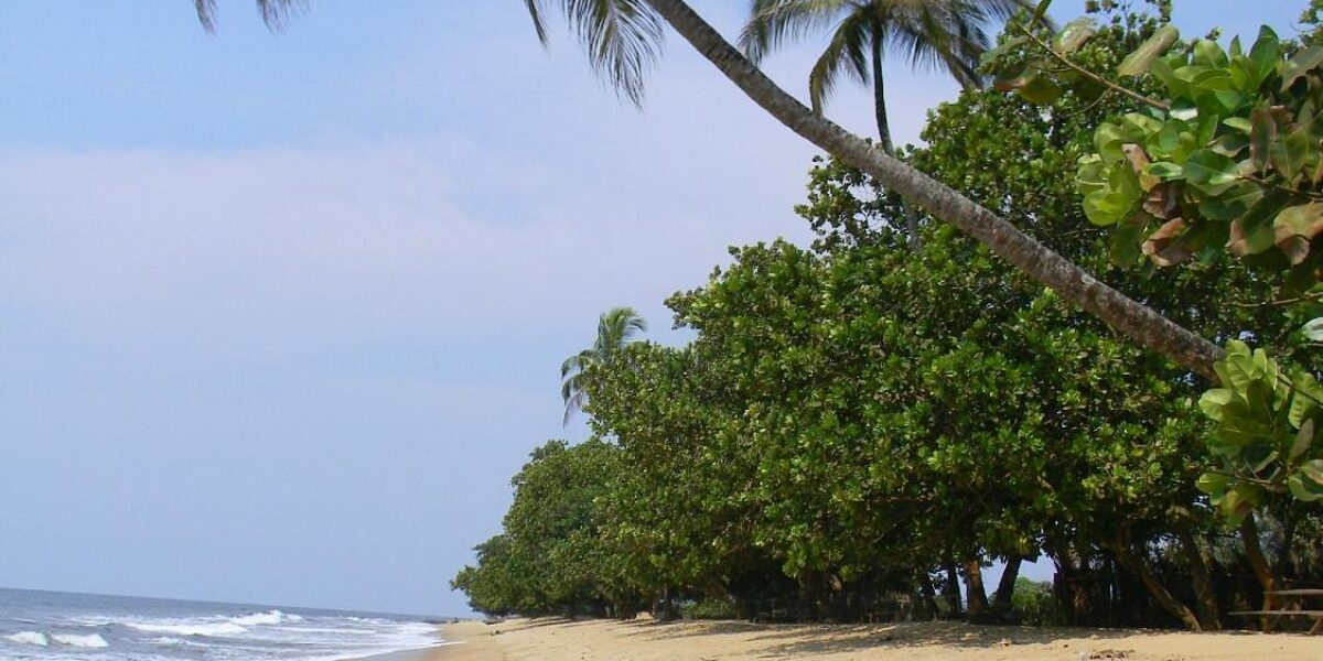 TERRAIN TITRE A VENDRE A KRIBI – ELABE