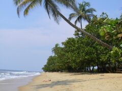 TERRAIN TITRE A VENDRE A KRIBI – ELABE