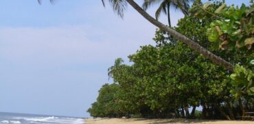 TERRAIN TITRE A VENDRE A KRIBI – ELABE