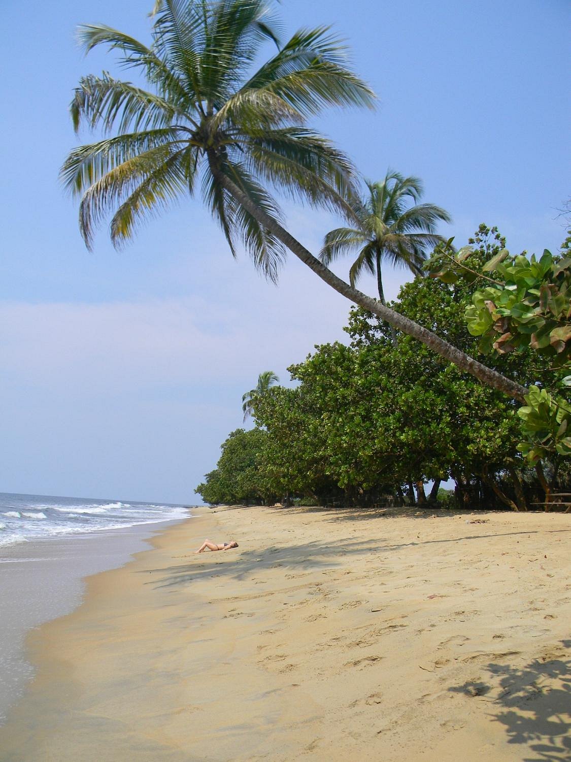 TERRAIN TITRE A VENDRE A KRIBI – ELABE