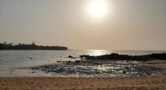 TERRAIN TITRE A VENDRE A KRIBI – BEBAMBWE -Pied dans l’eau