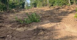 TERRAIN A VENDRE A KRIBI – EBOME