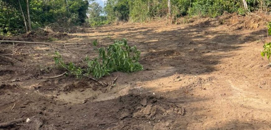 TERRAIN A VENDRE A KRIBI – EBOME