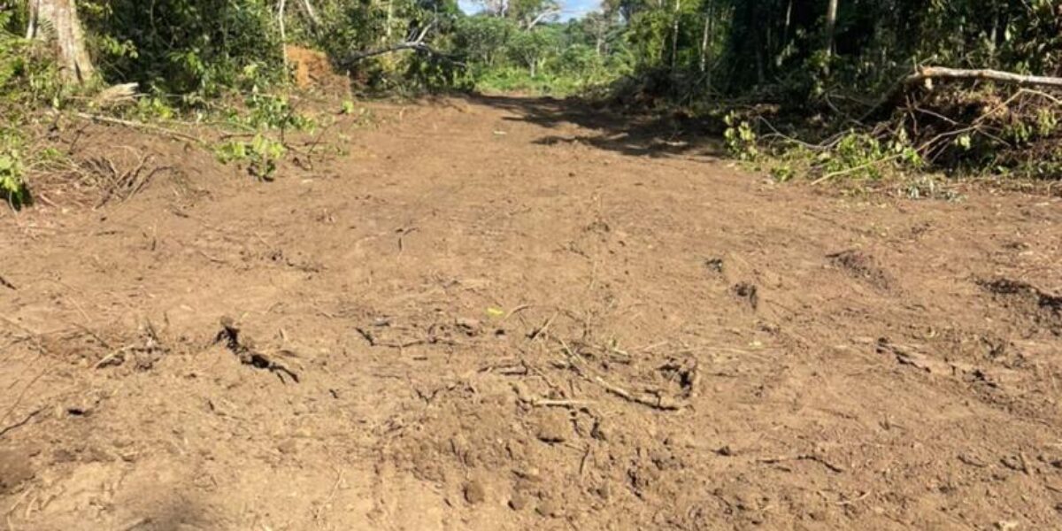 TERRAIN A VENDRE A KRIBI – EBOME