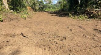 TERRAIN A VENDRE A KRIBI – EBOME