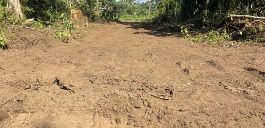 TERRAIN A VENDRE A KRIBI – EBOME